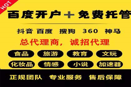 案例研究：SEM竞价托管效果对比